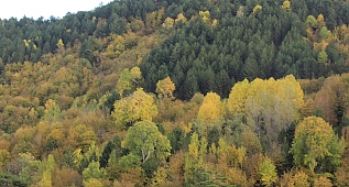 İskilip'te sonbahar